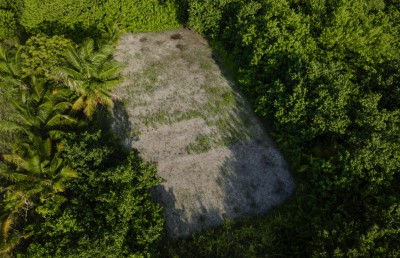 އެޗްޑީސީން މިލިއަން ގަސް އިންދުމަށް ގަމުގައި ނާސަރީއެއް ހަދަނީ