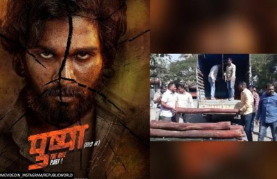 "ޕުޝްޕާ" ފިލްމުގައި ދައްކާ ލަކުޑި ވިއްކަނިކޮށް އަތުލައިގެންފި