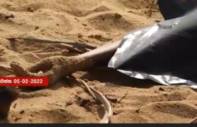 އަފްހާމްގެ ހަށިގަނޑުގައި ޒަހަމްތަކެއް ހުރުމުން ޕޯސްޓްމޯޓަމް ހަދަނީ