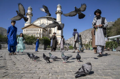 އަފްޣާނިސްތާނު އަންހެނުންގެ ދިފާއުގައި އދ ގެ ގަރާރެއް