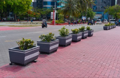 ބޮޑުތަކުރުފާނު މަގު ފުޅާކޮށް، ތާރު އަޅައި ތަރައްގީ ކުރަން ފަށަނީ