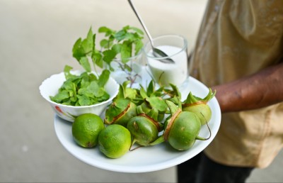 ކުއްޅަވައް މޮހީޓޯ އިން މުޅި ލަންދޫ ފަހުރުވެރިކޮށްލި ޖައުފަރު