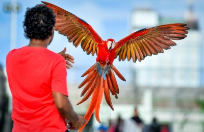 ދޫނިތައް މަރާނުލައި، ހެދޭނެ ގޮތްތައް ނައީމްގެ ވިސްނުމުން