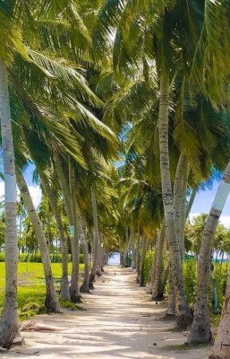 ތޮއްޑޫން ފެހިކަމާއި ކުރިއެރުން: "ފަށަން އޮތީ ވެސް އާ މަރުހަލާއެއް"