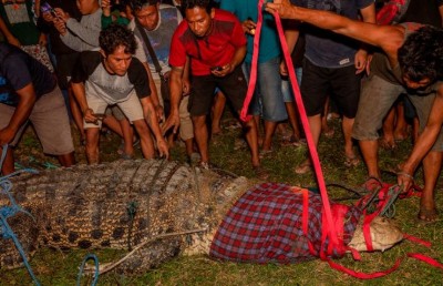 ކަރުގައި ޓަޔަރެއް ތާށިވި ކިނބޫ ސަލަމާތްކޮށްފި