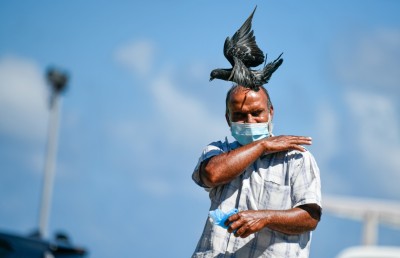 ފޮޓޯ ސްޓޯރީ: ކޮތަރުތަކުގެ އެންމެ ގާތް އެކުވެރިޔާ