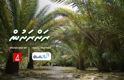 ކުނިގޮނޑަކުން އުފަންވި "ކަދުރު ޕާކް" ގެ ވާހަކަ