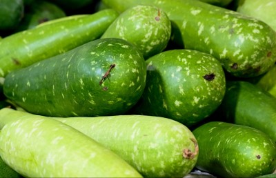 މި ފަހަރު އެންމެ ޑިމާންޑު ބޮޑު އެއް ބާވަތަކީ ގިއްސާ!