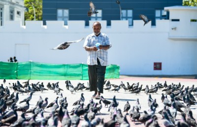 ފޮޓޯ ސްޓޯރީ: ކޮތަރުތަކުގެ އެންމެ ގާތް އެކުވެރިޔާ