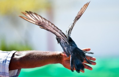 ފޮޓޯ ސްޓޯރީ: ކޮތަރުތަކުގެ އެންމެ ގާތް އެކުވެރިޔާ