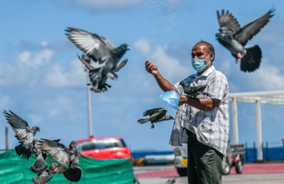 ފޮޓޯ ސްޓޯރީ: ކޮތަރުތަކުގެ އެންމެ ގާތް އެކުވެރިޔާ