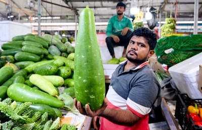 މި ފަހަރު އެންމެ ޑިމާންޑު ބޮޑު އެއް ބާވަތަކީ ގިއްސާ!