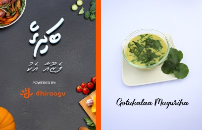 "މިހާރު ބަދިގެ": ގޮޓޮކޮލާ މުގުރިހަ