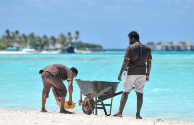 ސާވިސް ޗާޖާއި މިނިމަމް ވޭޖަށް އަމަލުކުރޭތޯ މަޖިލީހުން ބަލަނީ