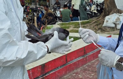 ކޮތަރުތަކަށް ޖެހުނީ ނޭވާލާ ނިޒާމަށް ޖެހޭ ބައްޔެއް: މިނިސްޓްރީ