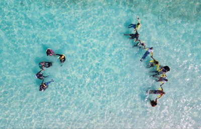 ކުޑަފަރީގެ އެލްޑާލީ ކްލަބް: މިއީ ބޭނުންވާ އަޅާލުމާއި އުފާވެރިކަން