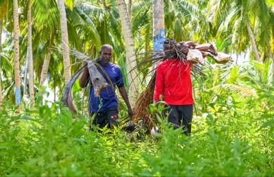 ހުވަދޫގެ މި ރީތިކަމާއި ފުރިހަމަ ކަމުގެ ތެރެއަށް ގެއްލިފައި