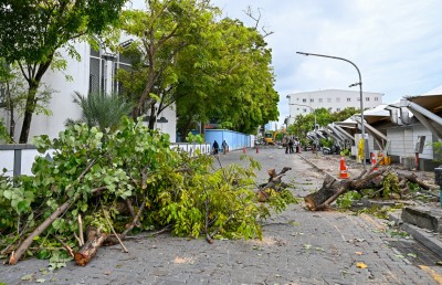 ގަސް ކަނޑާ މައްސަލާގައި ސިޓީ ކައުންސިލަށް ޖިނާއީ ދައުވާ އުފުލަންޖެހޭ: ނަޝީދު