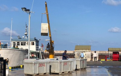 މިފްކޯއަށް ކިރުވި މަހަށް ބައި ބިލިއަން ރުފިޔާ ދޫކޮށްފި