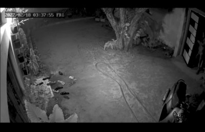 ފުލުހެއްގެ ސައިކަލްގައި ރޯކޮށްލި ކަމަށް ތުހުމަތުކުރި ދެ މީހަކު ދޫކޮށްލައިފި