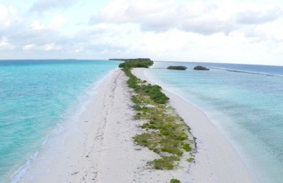 ފީ ނުދައްކާ ޓޫރިސްޓުން ދިގުރަށުން ބޭލި މައްސަލަ ބަލަނީ