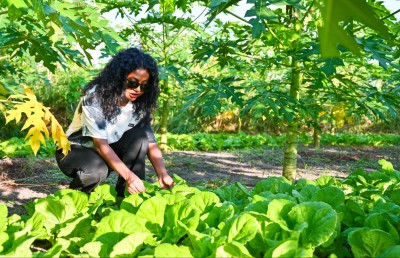 ފެޒޫއާ އެކު "މިހާރު" ބަދިގެ: ތޮއްޑޫގެ ބޮށި މަސްހުނި