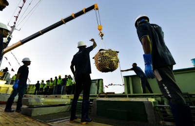 އެއް ބިލިއަން ރުފިޔާގެ މަޝްރޫއުއެއް މިފްކޯއިން ފަށަން ނިންމައިފި