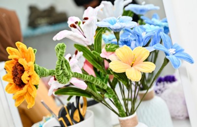 ނަސޯފާގެ އާޓުގެ ދުނިޔެ ސްކޫލްތެރެއަށް