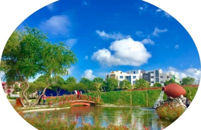 ގުލަކޯމާ: ނޭނގި ހުއްޓާ ލޯ އަނދިރިކޮށްލާ "ވަގު"