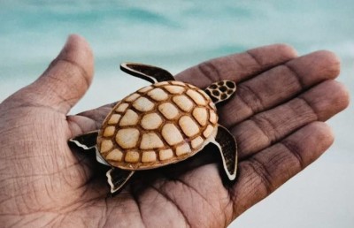 އުމުރުން 17, ފިލާގައި ކަނޑައި މި ނަގަނީ އަމިއްލަ ވިޔަފާރި