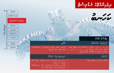 ވެލަ އާއި ކަހަނބު ނެތިދިއުމުގެ ބިރު ބޮޑުވެފައިވާކަން ދިރާސާއަކުން ދައްކައިފި