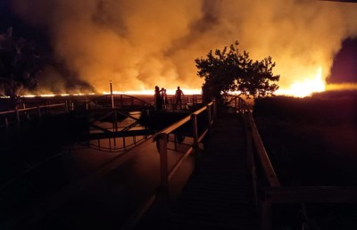 މީދޫ އިކޯ ގާޑަންގައި ރޯވި އަލިފާން 11 ގަޑިއިރު ފަހުން ނިއްވާލެވުނު އިރު 60 ޕަސެންޓް ވަނީ އަނދާފައި