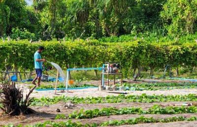 ދަނޑުވެރިންގެ ދަފްތަރެއް އެކުލަވާލަނީ