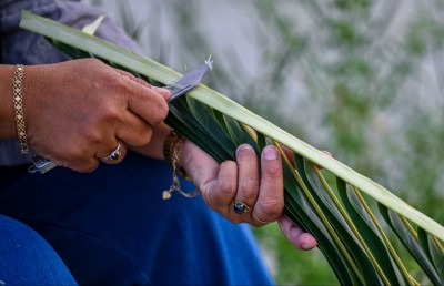 އެކަނިވެރި ދިރިއުޅުމުން އައިސްތު ނެރެދިނީ ހުނަރުތައް