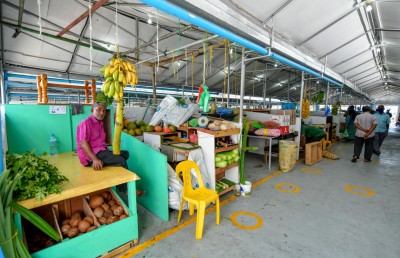 މާލެ އާއި ވިލިމާލޭގެ ބޮޑު މަޝްރޫއުތަކަށް އިންވެސްޓަރުން ހޯދަނީ