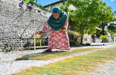 ހައި ދަނޑު: ފިޔޯރީގައި ކުރިލާ ހެދޭ ރަނެއް