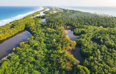 ފޮޓޯ ސްޓޯރީ: ކެނދިކުޅުދޫގެ ހަޒާނާ ތެރެއަށް ވަންނަ މިއީ ވަރުގަދަ ފައުޖެއް