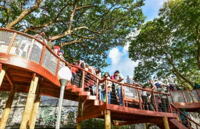 ސަލްޓަންޕާކު ރީތިކޮށް އަލުން ހަދާނީ އެންމެންނަށް ހިތްހަމަޖެހުން ލިބޭ ގޮތަށް: ރައީސް