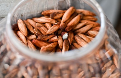 ފޮޓޯ ސްޓޯރީ: ކެނދިކުޅުދޫގެ ހަޒާނާ ތެރެއަށް ވަންނަ މިއީ ވަރުގަދަ ފައުޖެއް