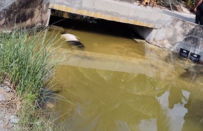 އައްޑޫގެ ކުޅިއެއްގެ ތެރޭގައި މީހަކު މަރުވެފައި އޮއްވާ ފެނިއްޖެ