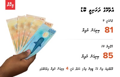 ޕްލޭނާ އެއްގޮތަށް އިގްތިސާދީ ރިފޯމް ގެނެވޭނެ ގޮތެއް ނެތް؟