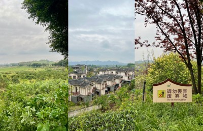 ބެއިޖިންގެ ބަހާރުން، ޗޮންޗިންގެ ދެގުނަ އުފާވެރިކަަމަށް