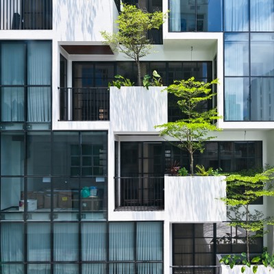 ބިލްޑްއަޕްގެ "ވާޓިކަލް ފޮރެސްޓެއް" ސޯސަން މަގުގައި!