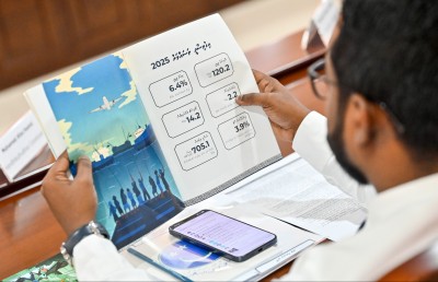 ޕްލޭނާ އެއްގޮތަށް އިގްތިސާދީ ރިފޯމް ގެނެވޭނެ ގޮތެއް ނެތް؟