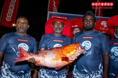 އުރީދޫ މަސްރޭސް މާދަމާ މާލެއިން ފަށަނީ