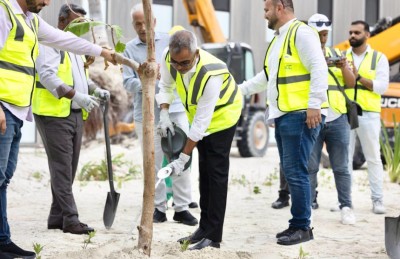 އަލަށް ހަދަމުން އަންނަ ރަންފަރު ރިސޯޓުގައި 1.4 މިލިއަން ގަސް އިންދަނީ