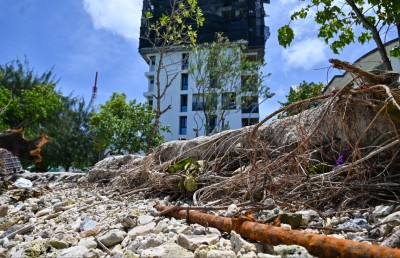 ވިލިމާލެ ގިރަނީ: ބަލަން ހުއްޓާ އެ ވެއްޓުނީ އަމިއްލަ އަތުން އިންދި ގަސް!
