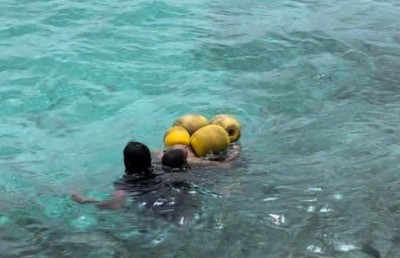 ގެނބޭތަން ފެނިގެން ސަލާމަތްކޮށްދިނީ ސާފިން ޗެމްޕިއަން ފުކޫ