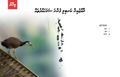 އައިންމަތީ ދޫނި މަދުވެއްޖެ، ތޭރަވާ ގެއްލިއްޖެ