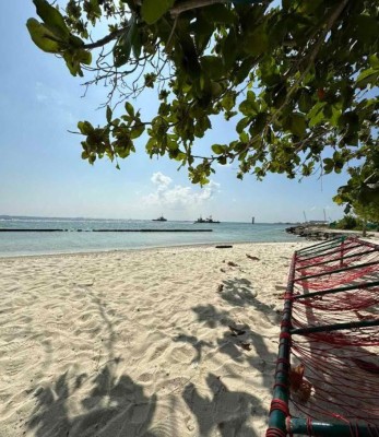 ވިލިމާލެ ގިރަނީ: ބަލަން ހުއްޓާ އެ ވެއްޓުނީ އަމިއްލަ އަތުން އިންދި ގަސް!